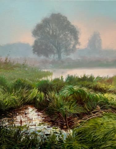 Sunrise in the wetland