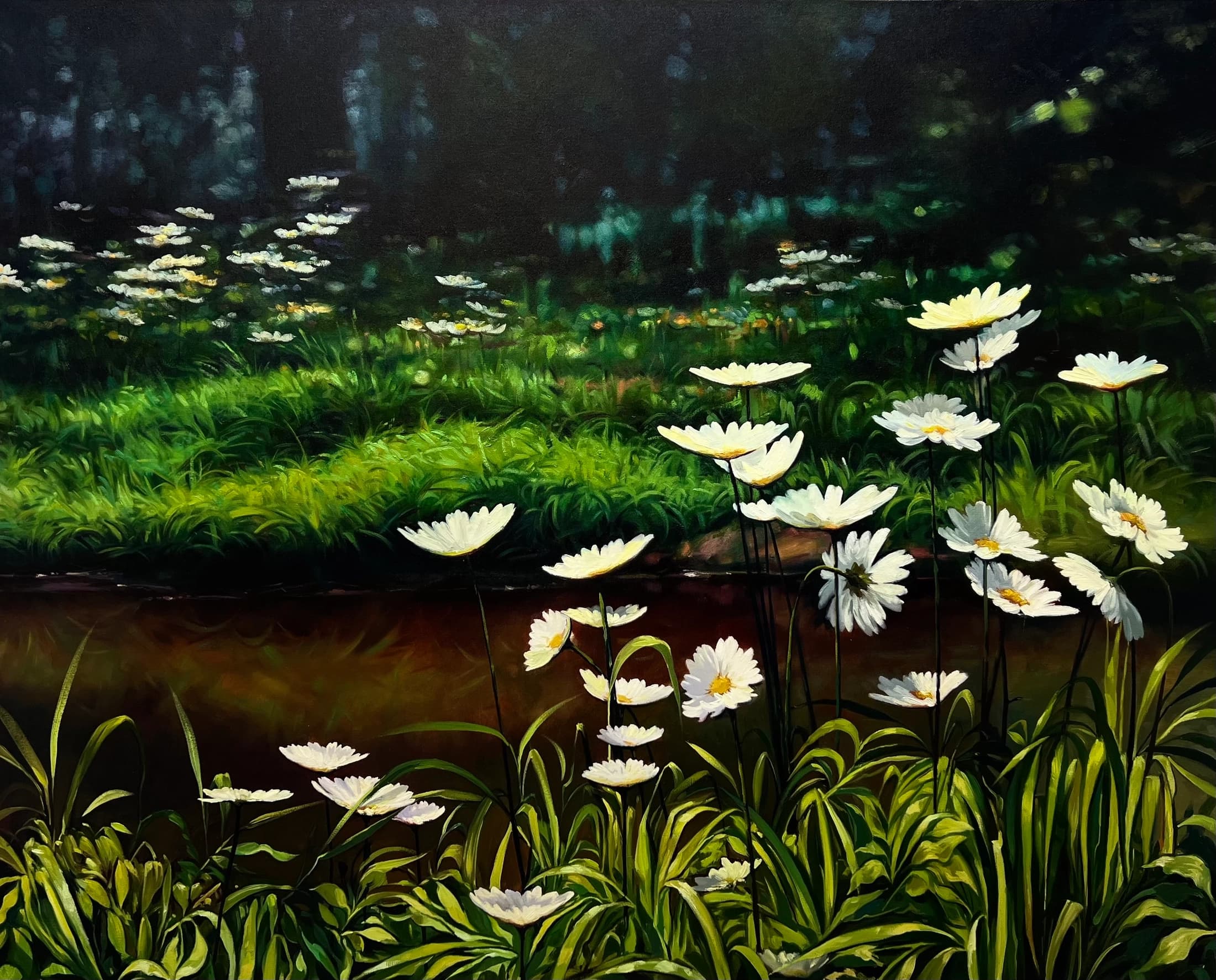 Daisies