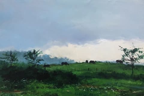 Study